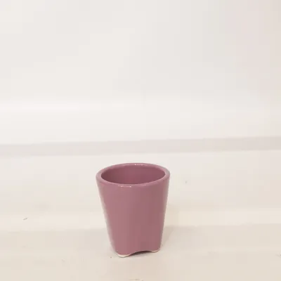 Pot (Purple)