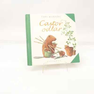 Kinderboek