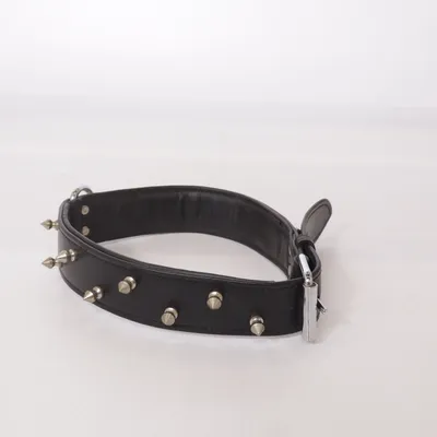 Hundhalsband (Svart) från Burr