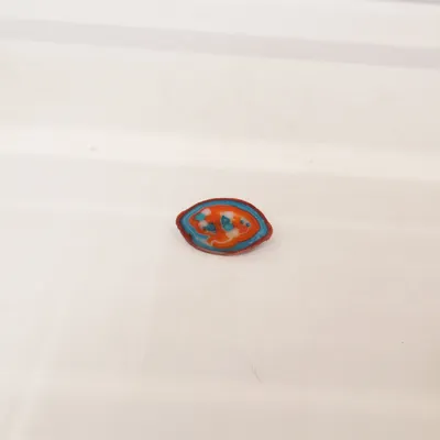 Broche (Multicolore) Métal inconnu