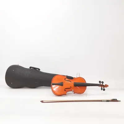 Violin (Brun)