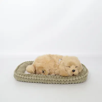 Kuscheltier (Beige, Grün) von Perfect Petzzz
