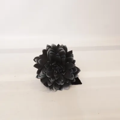 Ceinture (Noir) de Sfera Femme Collection
