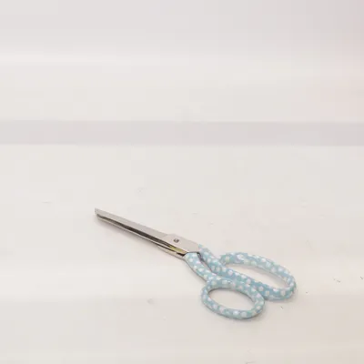 Ciseaux (Bleu, Blanc) de Prym