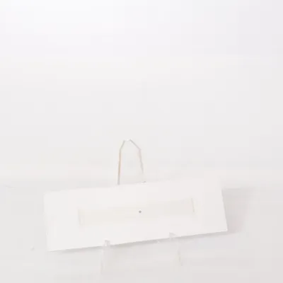 Watchband (Sport Band) from Apple