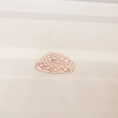 Broche (Roze) Onbekend materiaal