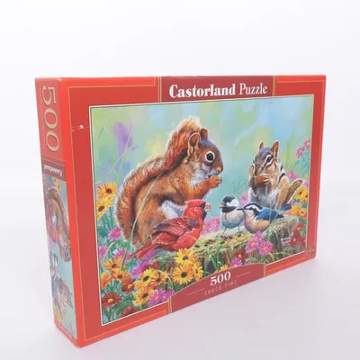 Pussel från Castorland Puzzle