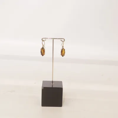 Oorbellen (Bruin, Goud) Onbekend materiaal