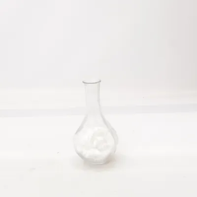Vase (Transparent)