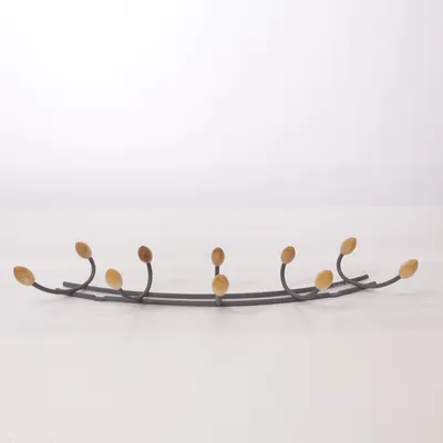 Patère (Noir, Marron)