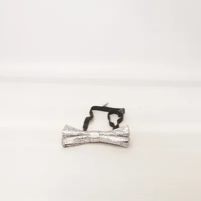 Noeud papillon (Argent)
