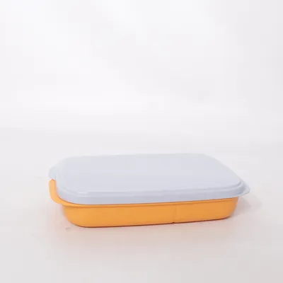 Lunch box (Orange, Blue) from Tupperware