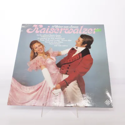 Vinyl record