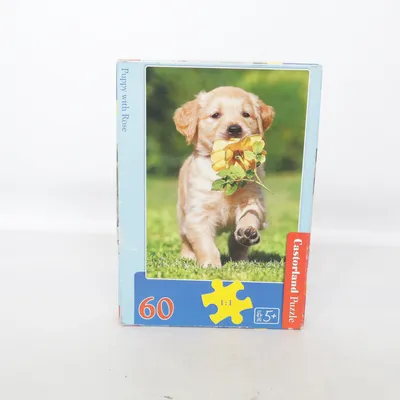 Puzzel van Coastland