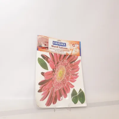 Klistermärken (Rosa, Grön, Flerfärgad) från Erfurt