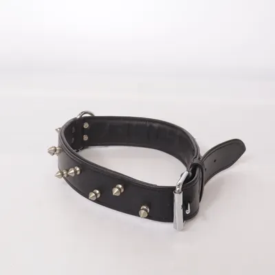 Collier pour chien (Noir) de Burda