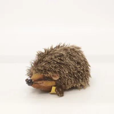 Kuscheltier (Braun) von Steiff