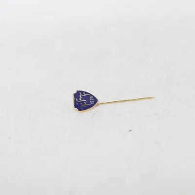 Brooch (Falkenbergs FF) Unknown metal