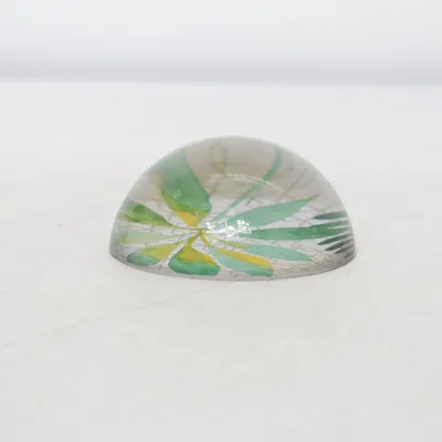 Woondecoratie (Groen, Geel, Meerkleurig)