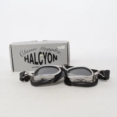 Lunettes de ski (Classic Goggles) de Halcyon