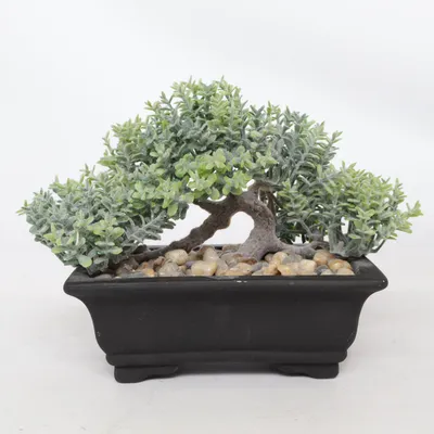 Kunstig plante (Sort, Grøn, Beige)