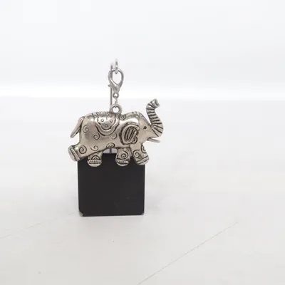 Berlock (Silverfärgad) Okänd metall