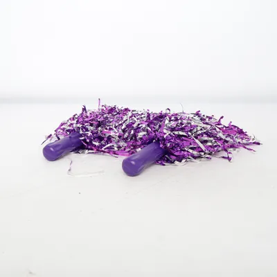 Costume accessories (Purple, Silver)