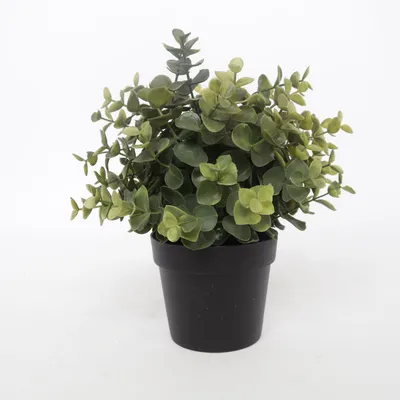 Artificial plant (Green) from IKEA
