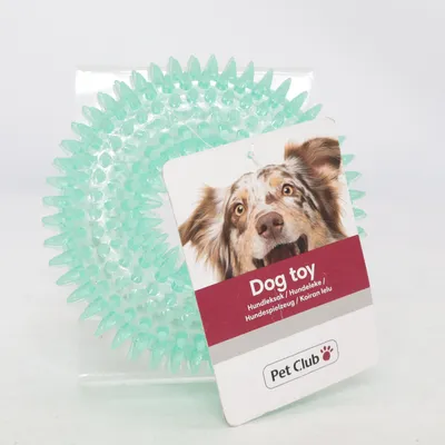 Dog toy (Green) from Pet Club