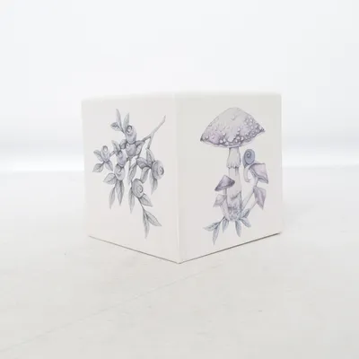 Box (White, Multicolored) from Newbie by KappAhl
