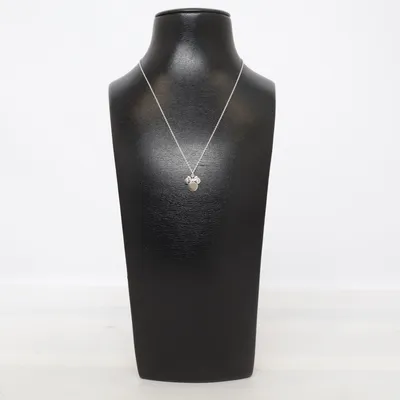 Ketting (Zilver) van Disney Zilver