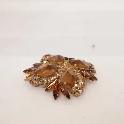 Brooch (Brown, Gold) Plastic