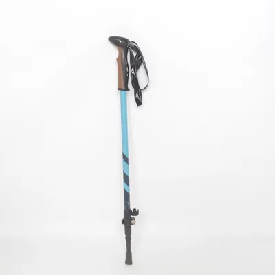 Bâtons de marche (Bleu, Noir) de Active Touch