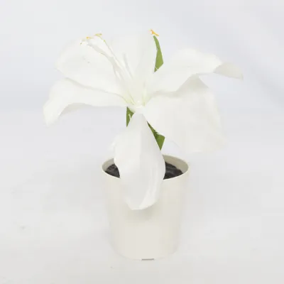 Plante artificielle (Blanc, Vert) de IKEA