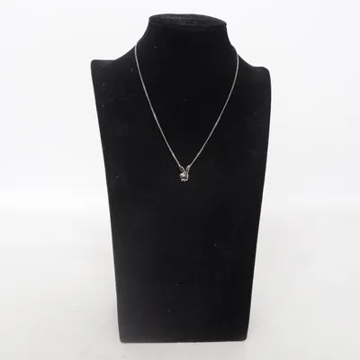 Ketting (Zilver) van Playboy Roestvrij staal