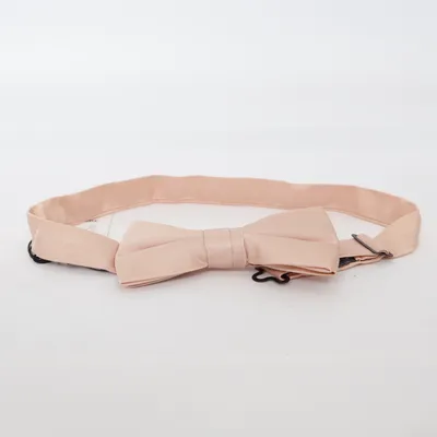 Bow tie (Beige) from Neckwear