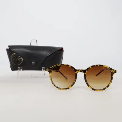 Sunglasses (Brown) from Ray-Ban