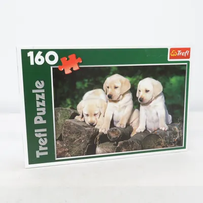 Puzzel van Trefl