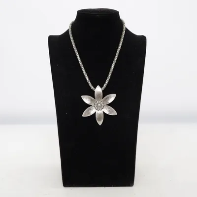 Halsband (Silverfärgad) Okänd metall