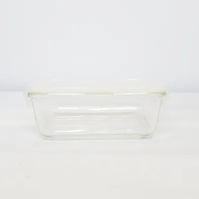 Lunch box (Transparent) from BPA FREE