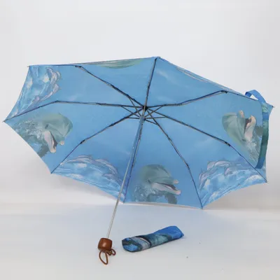 Paraplu (Blauw, Meerkleurig)