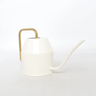 Vattenkanna (Vit, Guldfärgad)