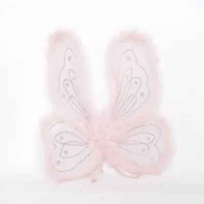 Accessoires de déguisement (Rose)