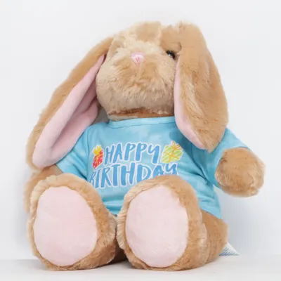 Zacht speeltje (Bruin, Blauw) van Build A Bear Workshop