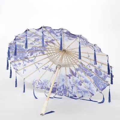 Parasol (Neu)