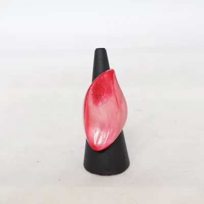 Ring (Rood) Hout