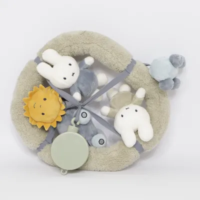 Baby mobiel (Groen, Meerkleurig) van Nijntje Miffy