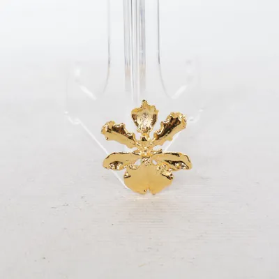 Brosch (Guldfärgad) Okänd metall