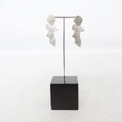 Örhängen (Silverfärgad) Okänd metall
