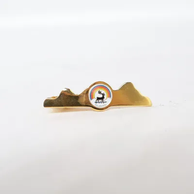 Slipsnål (Guldfärgad, Flerfärgad) Okänd metall